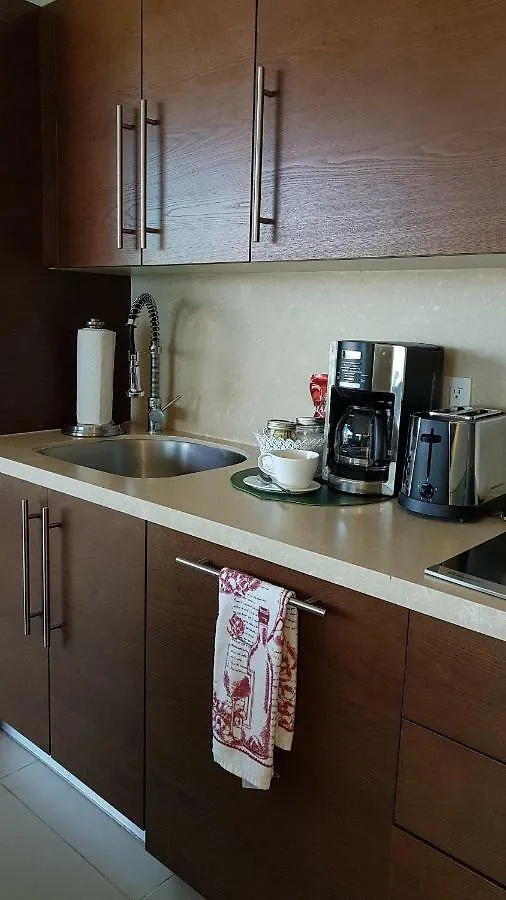 Icon Vallarta Apartment Puerto Vallarta Mexico